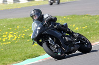 BIKES 0950
