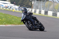 BIKES 1334