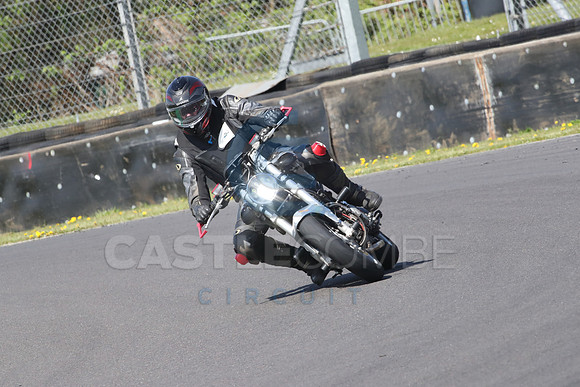 BIKES 0981