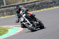 BIKES 0982