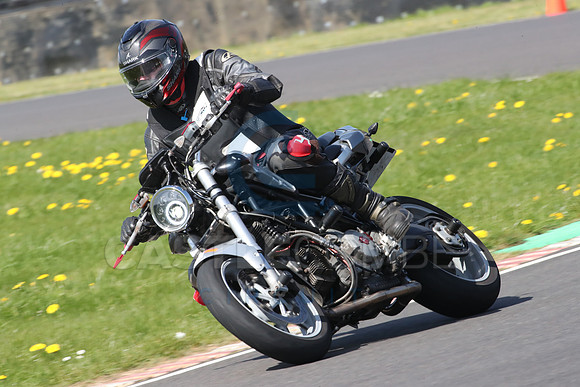 BIKES 0983