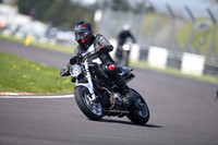 BIKES 1133