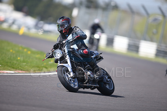 BIKES 1133