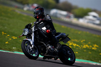 BIKES 1134