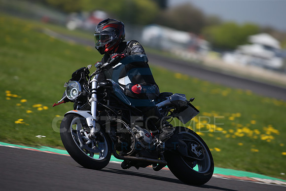 BIKES 1134
