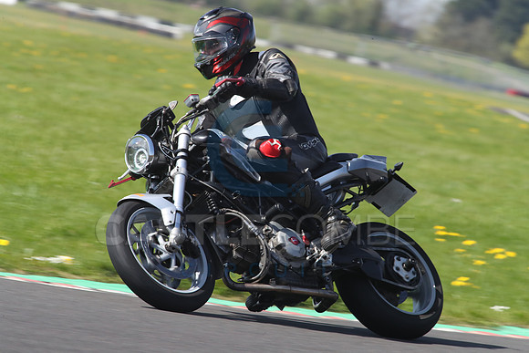 BIKES 1333