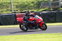 BIKES 1784