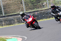 BIKES 0966