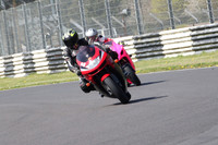 BIKES 1000