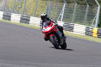 BIKES 1307