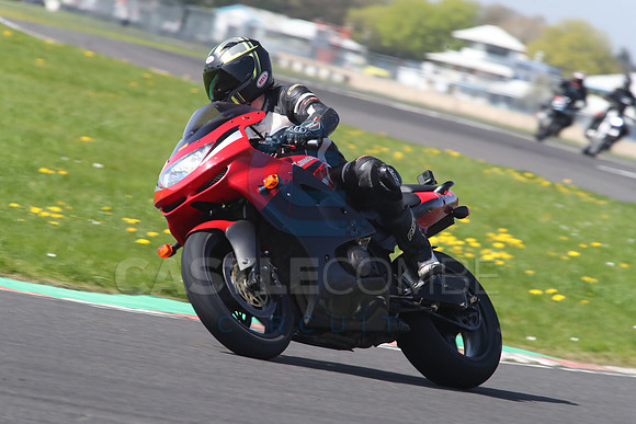 BIKES 1308
