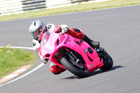BIKES 0948