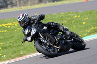 BIKES 0979