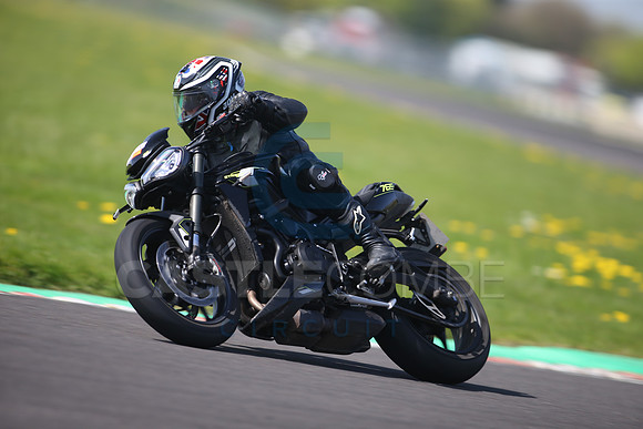 BIKES 1137