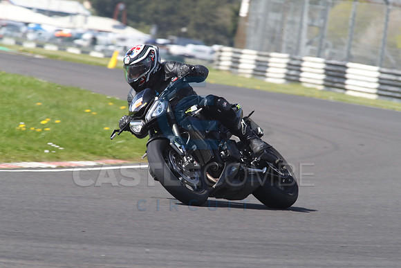 BIKES 1336