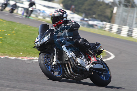 BIKES 1311