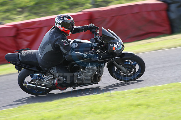 BIKES 1800