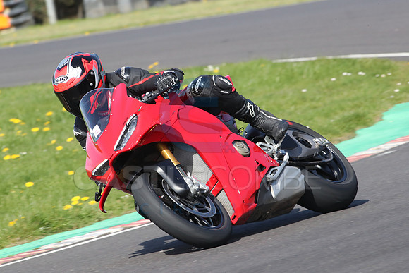 BIKES 0559