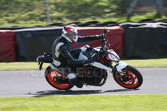 BIKES 1343