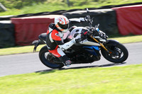 BIKES 1351