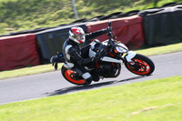 BIKES 1360