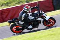 BIKES 1362