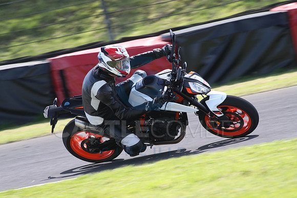 BIKES 1361