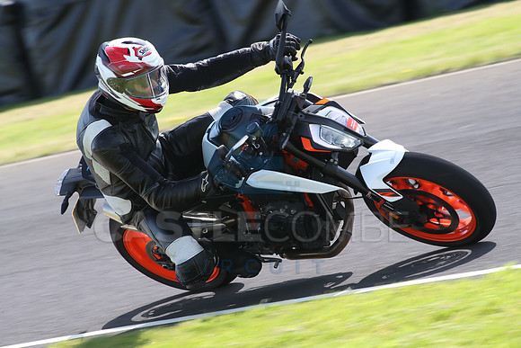 BIKES 1390