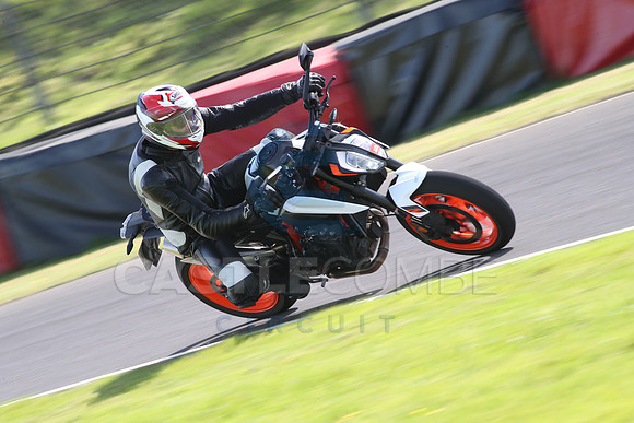 BIKES 1406