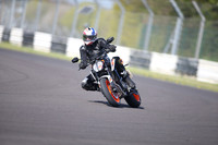 BIKES 1031
