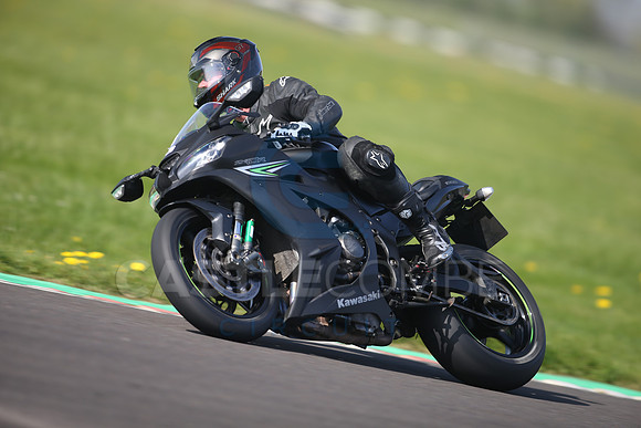 BIKES 1041