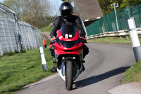 BIKES 0041
