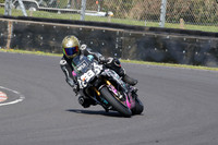 BIKES 0619