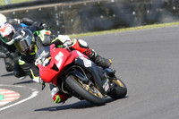 BIKES 0661
