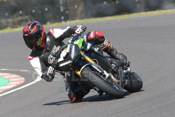 BIKES 0677