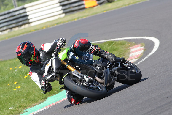BIKES 0729