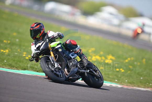BIKES 1103