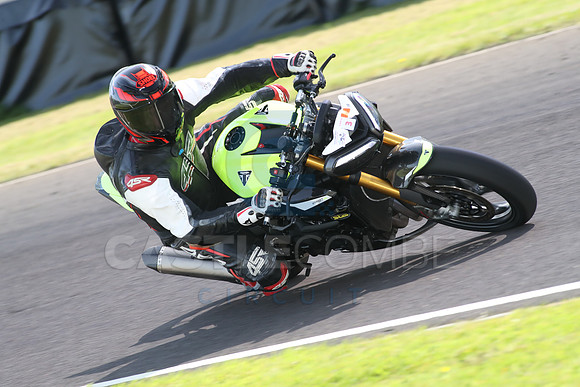 BIKES 1499