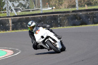 BIKES 0641