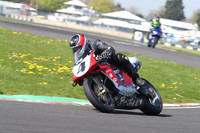 BIKES 1155