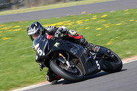 BIKES 0803