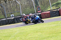 BIKES 1568