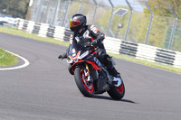 BIKES 1236