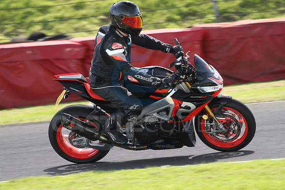 BIKES 1628