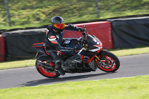 BIKES 1641