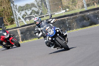 BIKES 0866