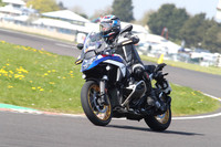 BIKES 1229