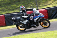 BIKES 1652