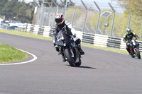 BIKES 1241