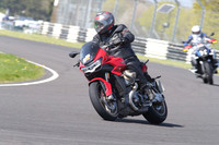 BIKES 1228